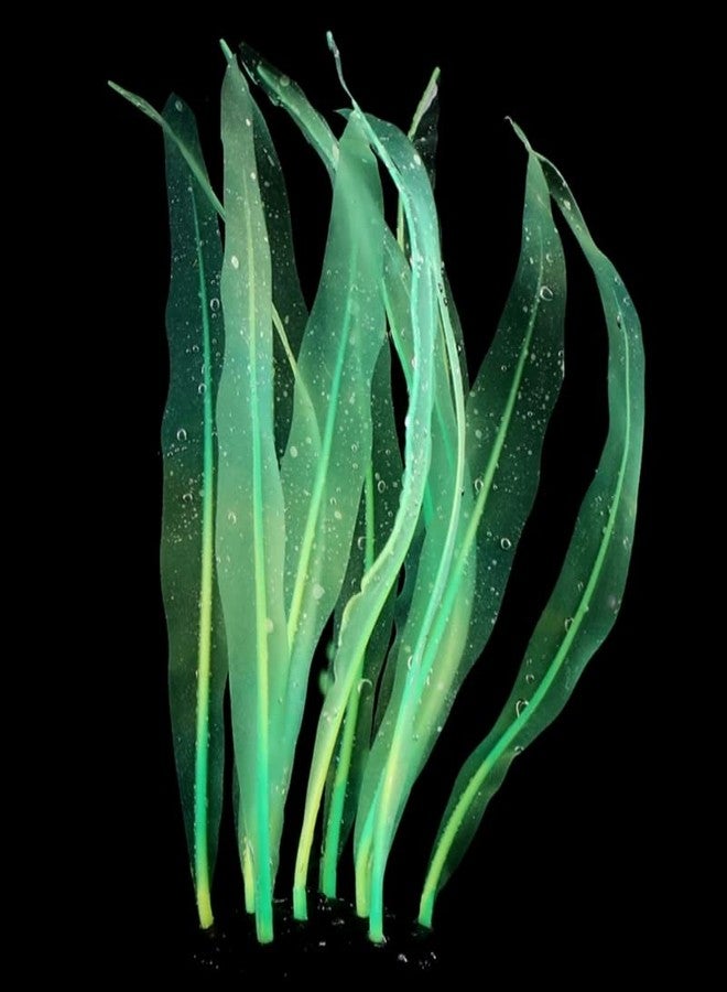 Youngy Aquarium Artificial Kelp Soft Silicone Plant Move With Water Flows 7 Inch High Realistic Seaweed Fish Tanks Decorations Silicone Seaweed Aquarium Plant Kelp Aquarium Plant Decor Realistic Fish Tanks - Image 1